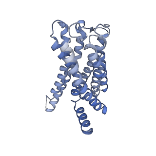 37357_8w8r_R_v1-0
Cryo-EM structure of the AA-14-bound GPR101-Gs complex