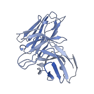 37357_8w8r_S_v1-0
Cryo-EM structure of the AA-14-bound GPR101-Gs complex