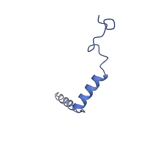 37357_8w8r_Y_v1-0
Cryo-EM structure of the AA-14-bound GPR101-Gs complex