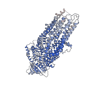 8782_5w81_A_v1-2
Phosphorylated, ATP-bound structure of zebrafish cystic fibrosis transmembrane conductance regulator (CFTR)
