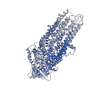 8782_5w81_A_v1-3
Phosphorylated, ATP-bound structure of zebrafish cystic fibrosis transmembrane conductance regulator (CFTR)