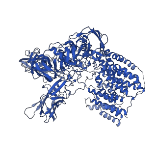 21580_6w98_A_v1-2
Single-Particle Cryo-EM Structure of Arabinofuranosyltransferase AftD from Mycobacteria