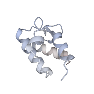 21580_6w98_B_v1-2
Single-Particle Cryo-EM Structure of Arabinofuranosyltransferase AftD from Mycobacteria
