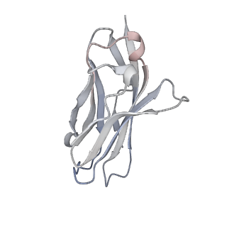 32369_7w9l_C_v1-0
Cryo-EM structure of human Nav1.7(E406K)-beta1-beta2 complex