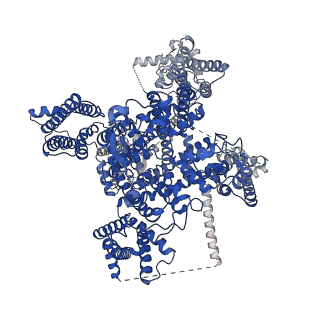 32370_7w9m_A_v1-0
Cryo-EM structure of human Nav1.7(E406K) in complex with auxiliary beta subunits, ProTx-II and tetrodotoxin (S6IV pi helix conformer)