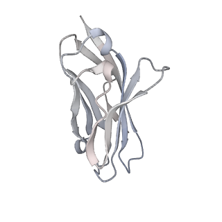32370_7w9m_C_v1-0
Cryo-EM structure of human Nav1.7(E406K) in complex with auxiliary beta subunits, ProTx-II and tetrodotoxin (S6IV pi helix conformer)