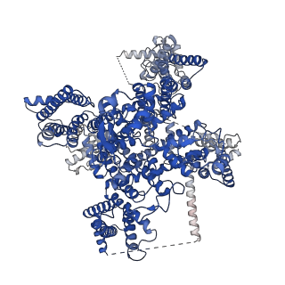 32371_7w9p_A_v1-0
Cryo-EM structure of human Nav1.7(E406K) in complex with auxiliary beta subunits, huwentoxin-IV and saxitoxin (S6IV pi helix conformer)