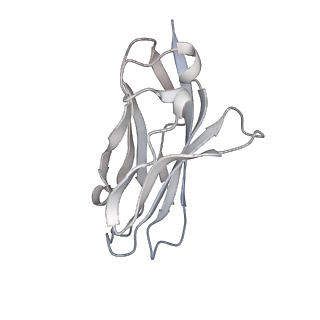 32371_7w9p_C_v1-0
Cryo-EM structure of human Nav1.7(E406K) in complex with auxiliary beta subunits, huwentoxin-IV and saxitoxin (S6IV pi helix conformer)