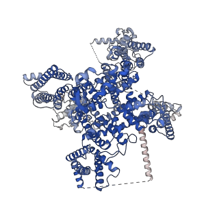 32372_7w9t_A_v1-0
Cryo-EM structure of human Nav1.7(E406K) in complex with auxiliary beta subunits, huwentoxin-IV and saxitoxin (S6IV alpha helix conformer)