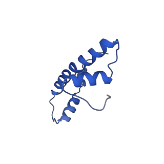 32373_7w9v_B_v1-0
Cryo-EM structure of nucleosome in complex with p300 acetyltransferase catalytic core (complex I)