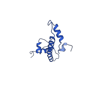 32373_7w9v_G_v1-0
Cryo-EM structure of nucleosome in complex with p300 acetyltransferase catalytic core (complex I)