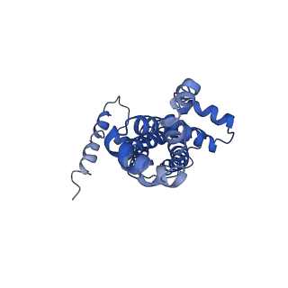 37375_8w9m_A_v1-1
Cryo-EM structure of the cyanobacterial nitrate transporter NrtBCD in complex with ATP