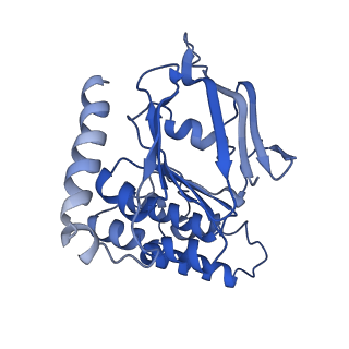 37375_8w9m_C_v1-1
Cryo-EM structure of the cyanobacterial nitrate transporter NrtBCD in complex with ATP