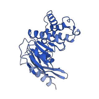 37375_8w9m_D_v1-1
Cryo-EM structure of the cyanobacterial nitrate transporter NrtBCD in complex with ATP