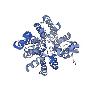 37376_8w9n_A_v1-0
Structure of AtHKT1;1 in NaCl at 2.7 Angstroms resolution