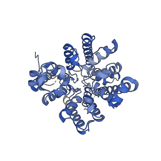 37376_8w9n_B_v1-0
Structure of AtHKT1;1 in NaCl at 2.7 Angstroms resolution