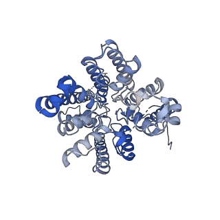 37377_8w9o_A_v1-0
structure of AtHKT1;1 in KCl at 2.8 Angstroms resolution