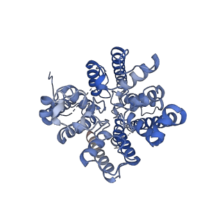 37377_8w9o_B_v1-0
structure of AtHKT1;1 in KCl at 2.8 Angstroms resolution