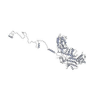 37378_8w9p_B_v1-0
Structure of full Banna virus