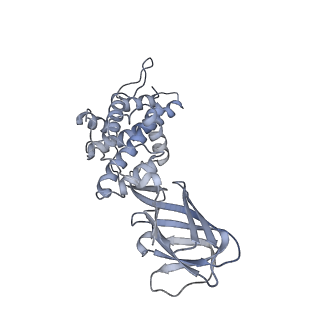 37378_8w9p_C_v1-0
Structure of full Banna virus