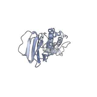 37378_8w9p_D_v1-0
Structure of full Banna virus