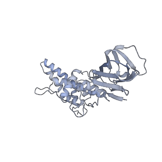 37378_8w9p_E_v1-0
Structure of full Banna virus