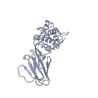 37378_8w9p_F_v1-0
Structure of full Banna virus