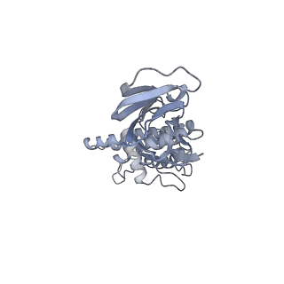 37378_8w9p_G_v1-0
Structure of full Banna virus