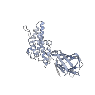 37378_8w9p_H_v1-0
Structure of full Banna virus