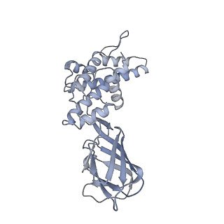 37378_8w9p_I_v1-0
Structure of full Banna virus