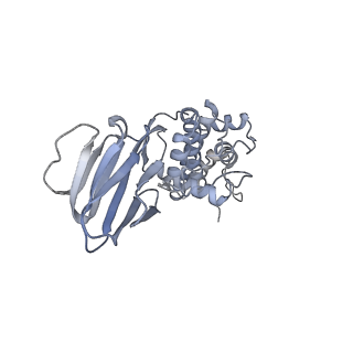 37378_8w9p_J_v1-0
Structure of full Banna virus