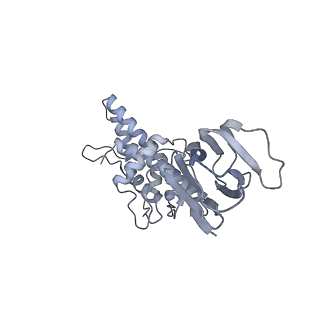 37378_8w9p_K_v1-0
Structure of full Banna virus