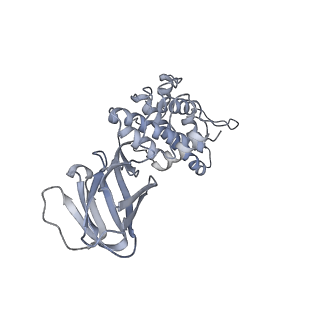 37378_8w9p_L_v1-0
Structure of full Banna virus