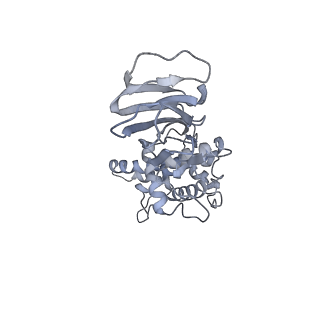 37378_8w9p_M_v1-0
Structure of full Banna virus