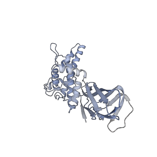 37378_8w9p_N_v1-0
Structure of full Banna virus