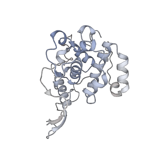 37378_8w9p_P_v1-0
Structure of full Banna virus