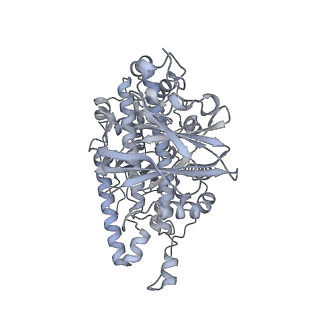 37378_8w9p_T_v1-0
Structure of full Banna virus