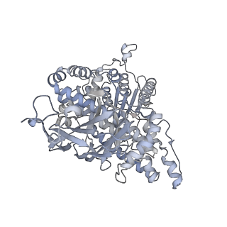 37378_8w9p_V_v1-0
Structure of full Banna virus