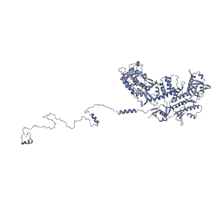 37380_8w9r_B_v1-0
Structure of Banna virus core