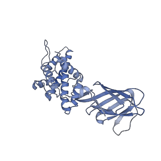 37380_8w9r_C_v1-0
Structure of Banna virus core