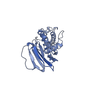 37380_8w9r_D_v1-0
Structure of Banna virus core