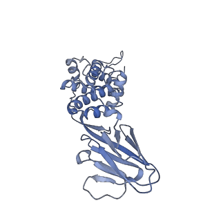 37380_8w9r_F_v1-0
Structure of Banna virus core