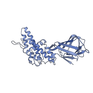 37380_8w9r_H_v1-0
Structure of Banna virus core