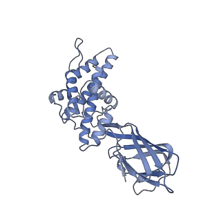 37380_8w9r_I_v1-0
Structure of Banna virus core