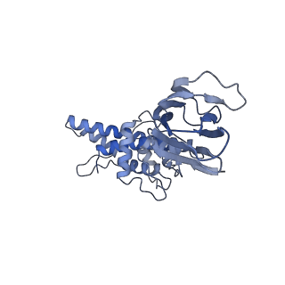 37380_8w9r_K_v1-0
Structure of Banna virus core