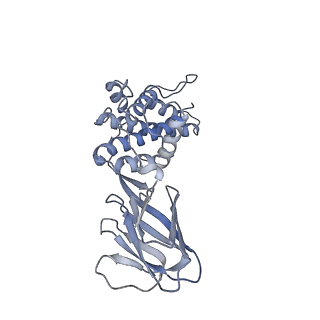 37380_8w9r_L_v1-0
Structure of Banna virus core