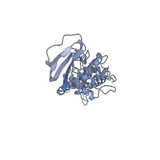 37380_8w9r_M_v1-0
Structure of Banna virus core