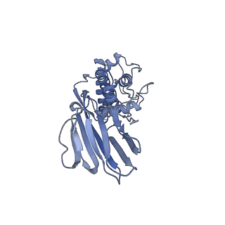 37380_8w9r_O_v1-0
Structure of Banna virus core