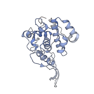 37380_8w9r_P_v1-0
Structure of Banna virus core