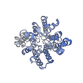 37381_8w9t_A_v1-0
Structure of TaHKT2;1 in NaCl at 2.6 Angstroms resolution